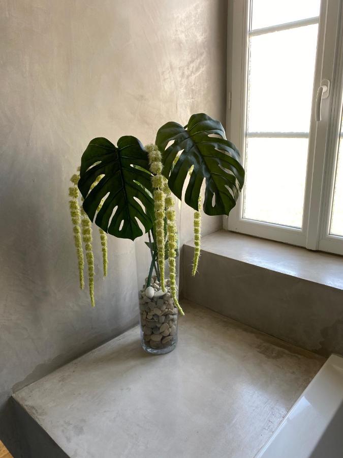 カルカソンヌLe Logis Goutアパートメント エクステリア 写真